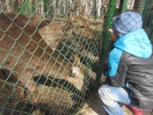 Так вот ты какая!